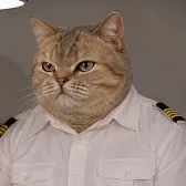 bob